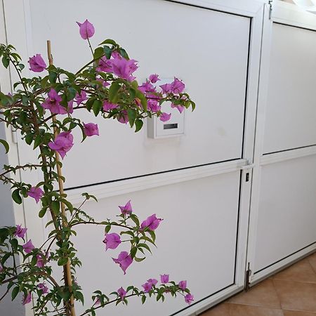 Apartman Dani Zadar Extérieur photo