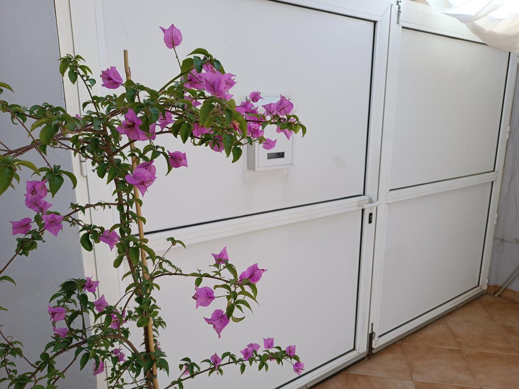 Apartman Dani Zadar Extérieur photo